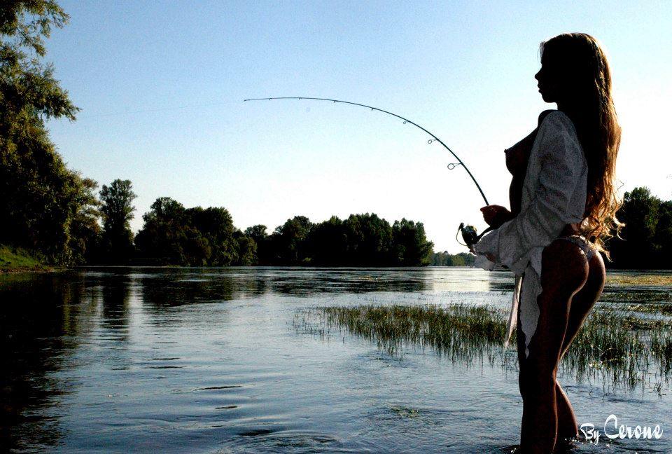 Net stuff - 1790335016109265645091038040059n.jpg